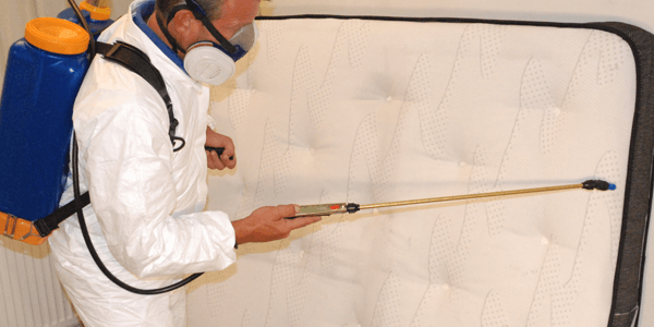 Illustration representing the cost guide for Bed Bug Exterminator