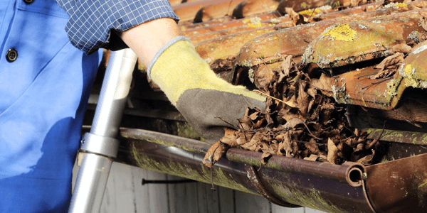 Illustration representing the cost guide for Gutter Cleaning