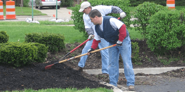 Illustration representing the cost guide for Landscaping