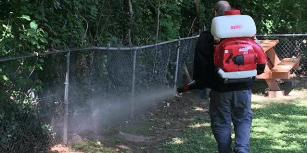 Illustration representing the cost guide for Mosquito Control