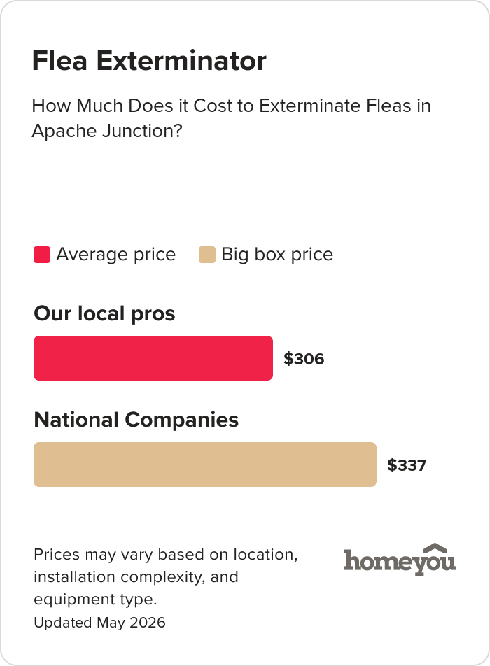 How Much Does it Cost to Exterminate Fleas in Apache Junction?