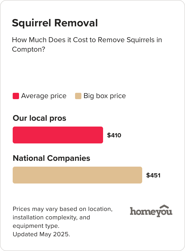 How Much Does it Cost to Remove Squirrels in Compton?