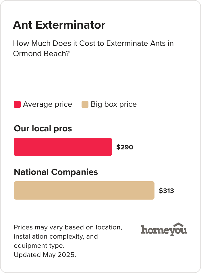 How Much Does it Cost to Exterminate Ants in Ormond Beach?
