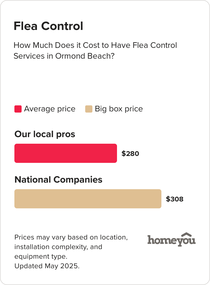 How Much Does it Cost to Have Flea Control Services in Ormond Beach?