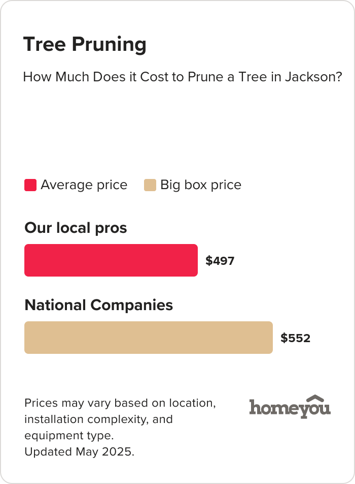 How Much Does it Cost to Prune a Tree in Jackson?