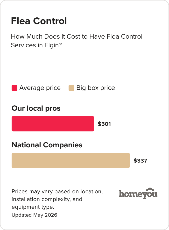 How Much Does it Cost to Have Flea Control Services in Elgin?